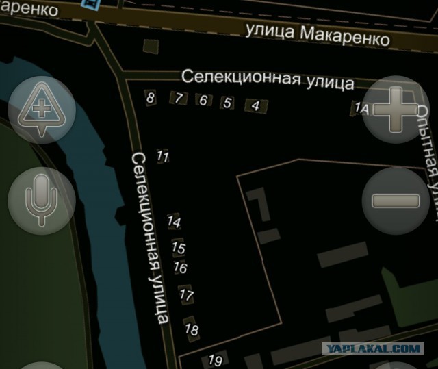 Интересные факты