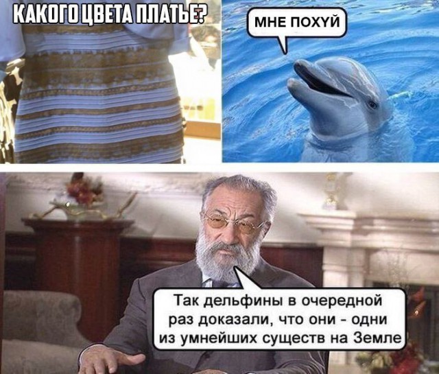 Картинки из сети