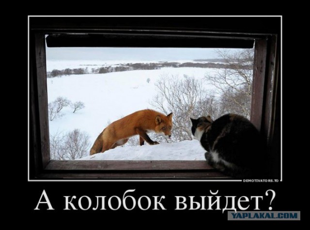 Забавные картинки из Сети