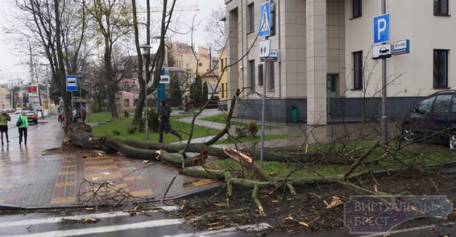 Пару часов назад в Бресте