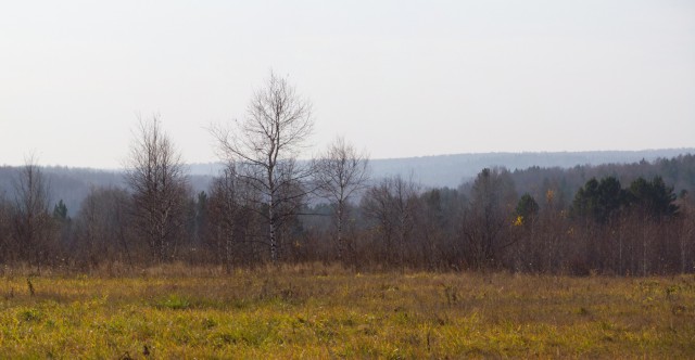 Деревенская Америка