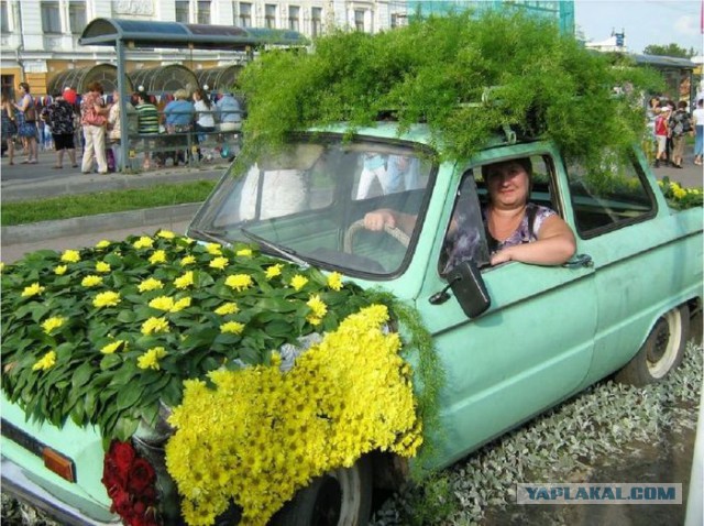Автоприколы