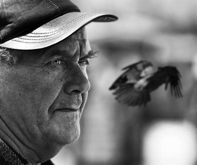 Созвучие. Соцветие. Совпадение.