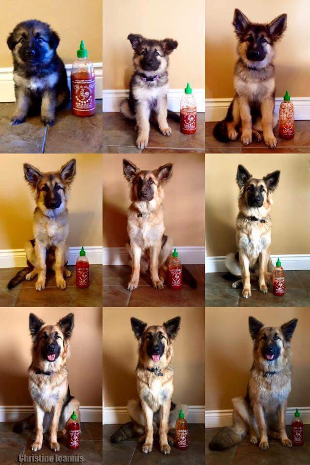 История уменьшения одной бутылочки