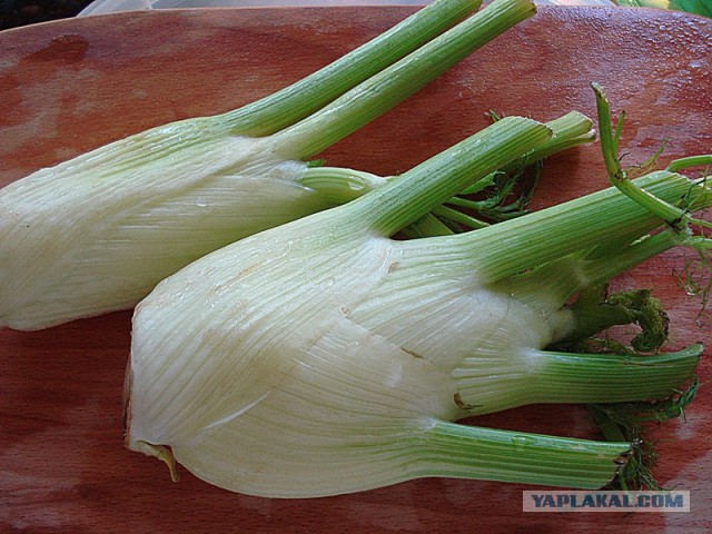 Баклажаны маринованные