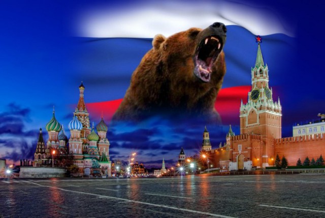 Самые смешные животные