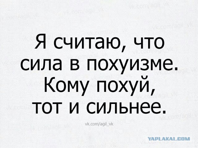 Приколы, которые поднимут вам настроение