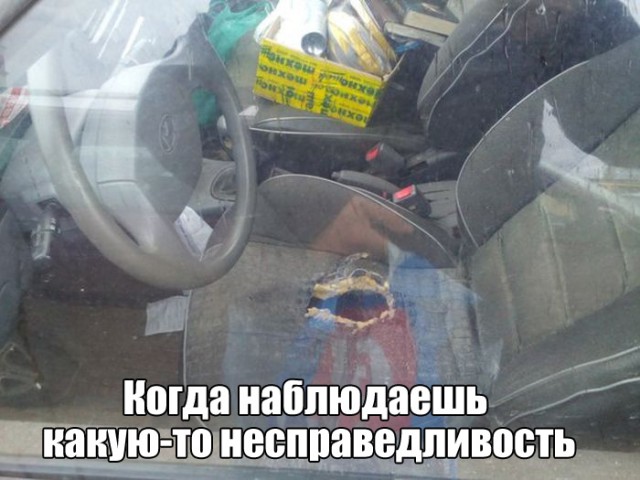 Смешные картинки