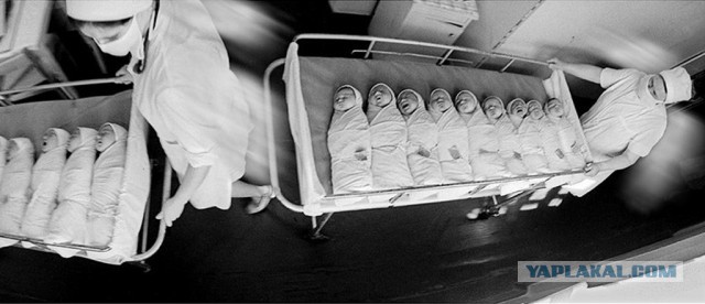 В челябинском роддоме ребенка из благополучной семьи отдали пьяницам