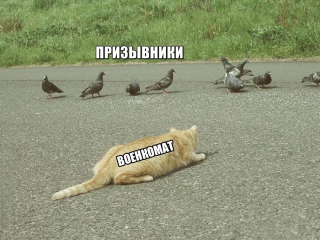 Подборка интересных и веселых картинок
