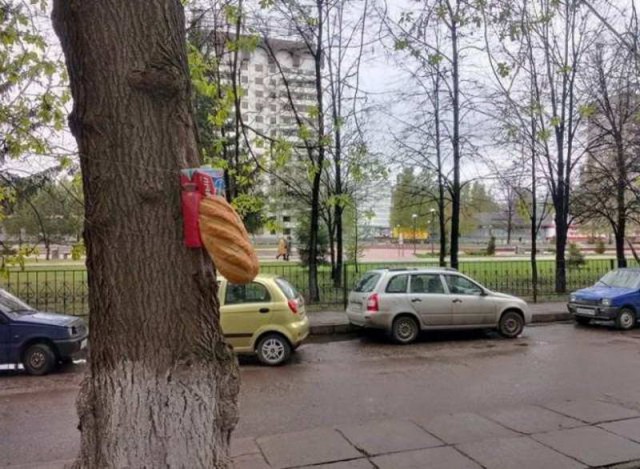 Удивительные снимки с российских просторов