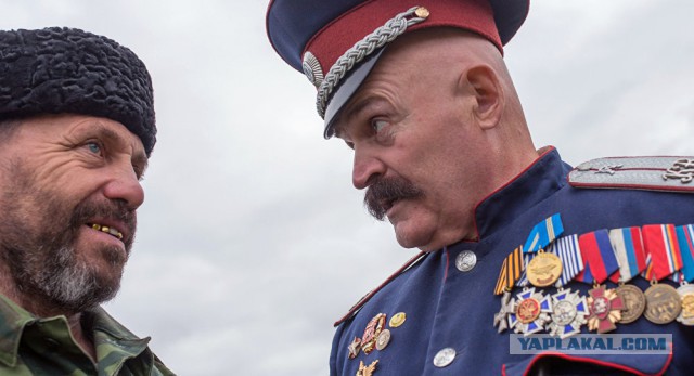Что вы знаете о понтах?