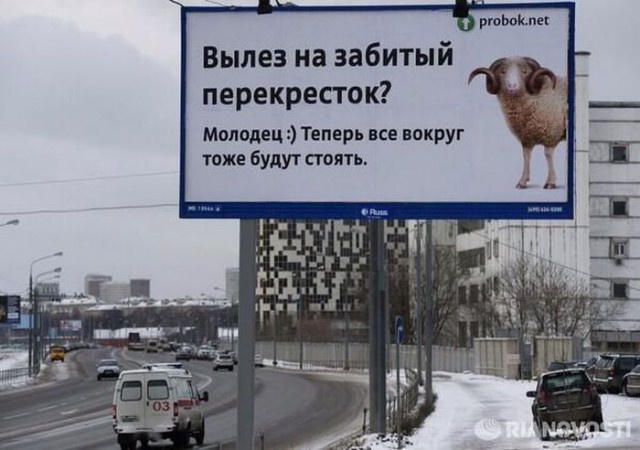 Подборка забавных картинок