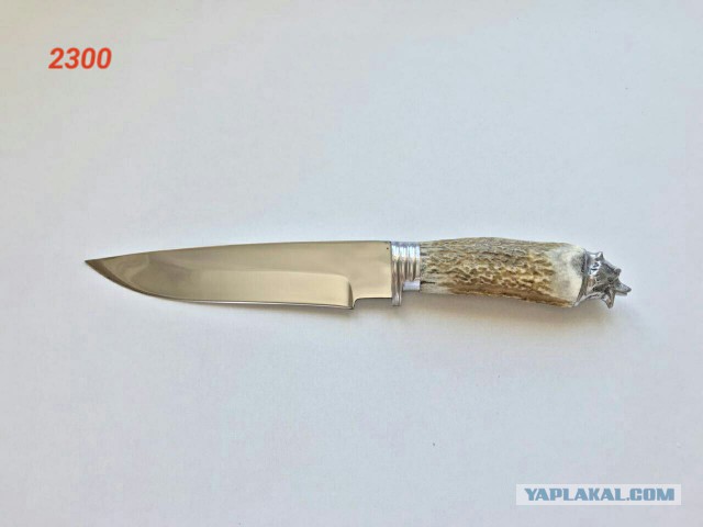 Продам Пчаки