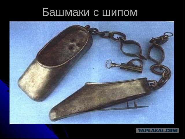 Модные женские штучки, от которых волосы встают дыбом