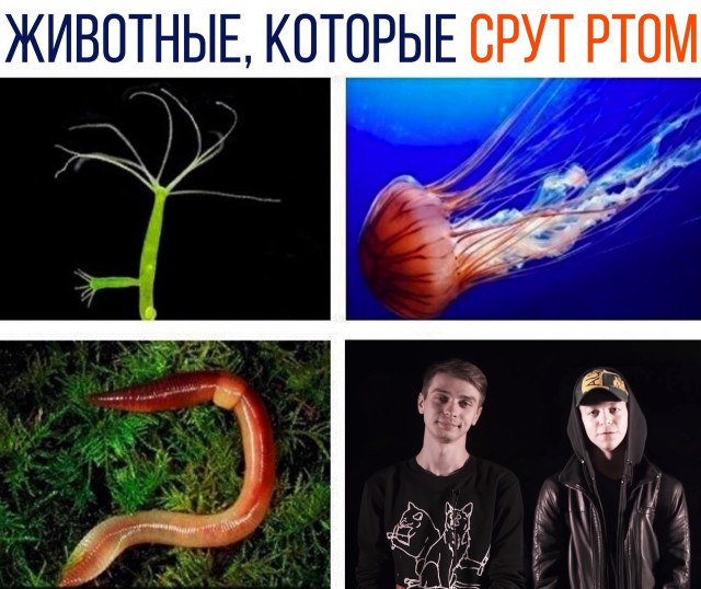 Специфический юмор