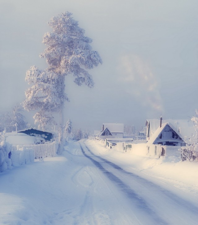 В наряде снежных кружев