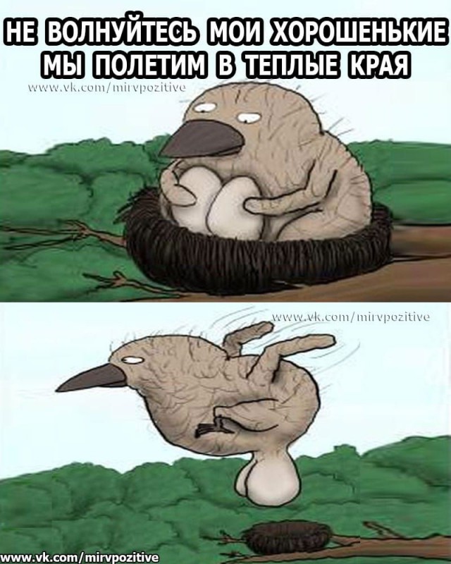 Подборка интересных и веселых картинок