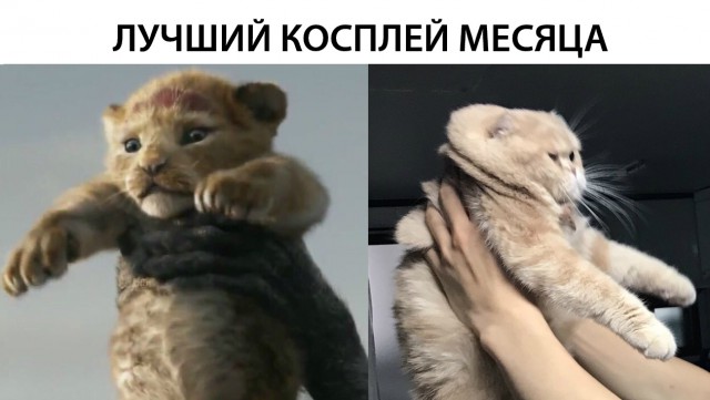 Нестандартный юмор