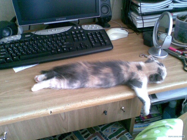 Новые устройства