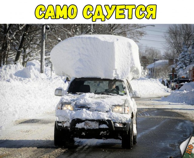 Прикольные картинки абавсём