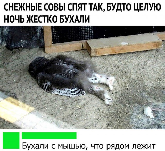 Глоток чёрного воздуха