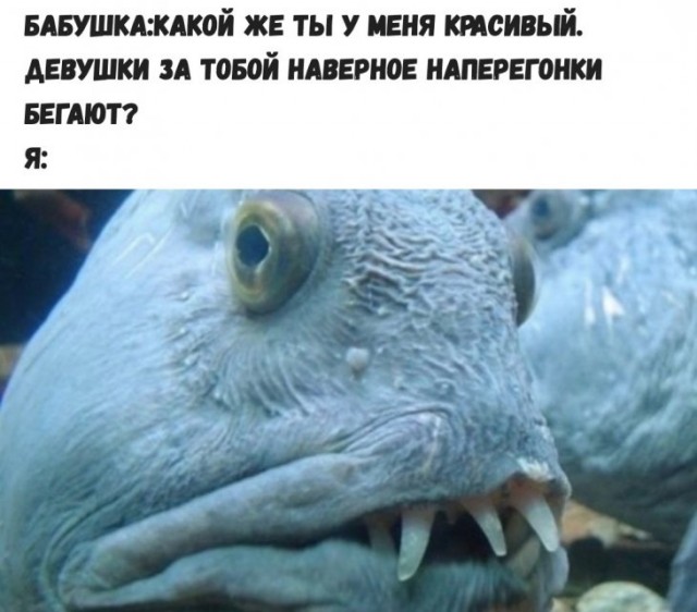 Немного картинок для настроения