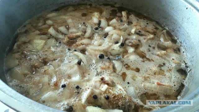 Караси и шпроты.