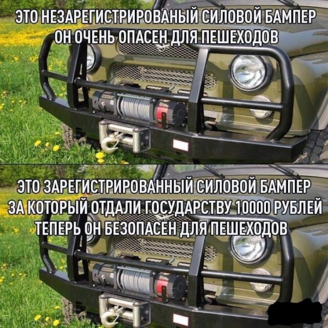 Купил не тот жадор - дома отжадорят по полной..