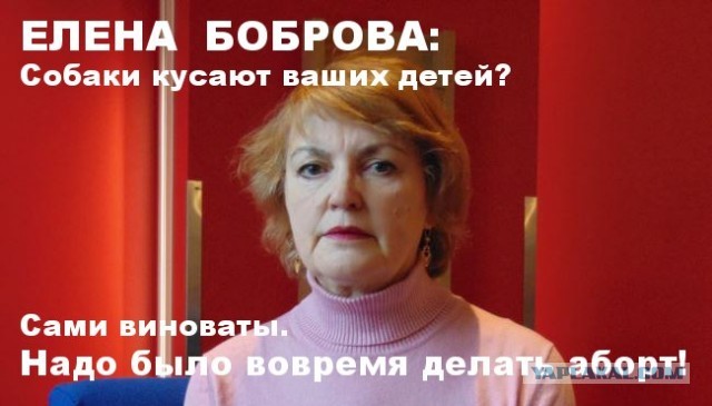 Звериный оскал зоозащиты