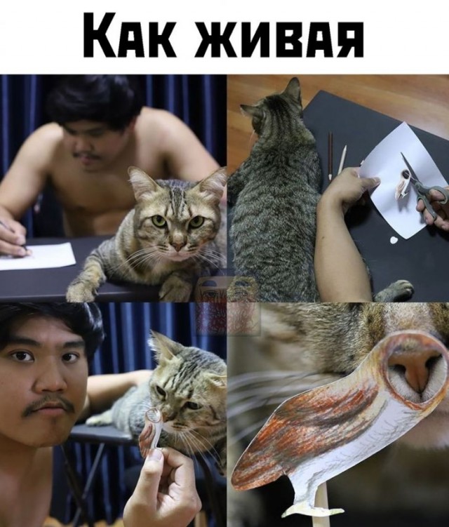 Немного картинок для настроения 07.02.20