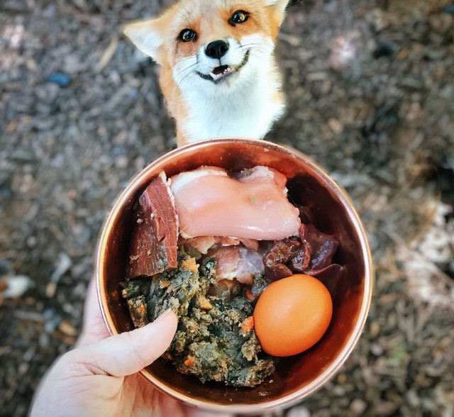Зверушки