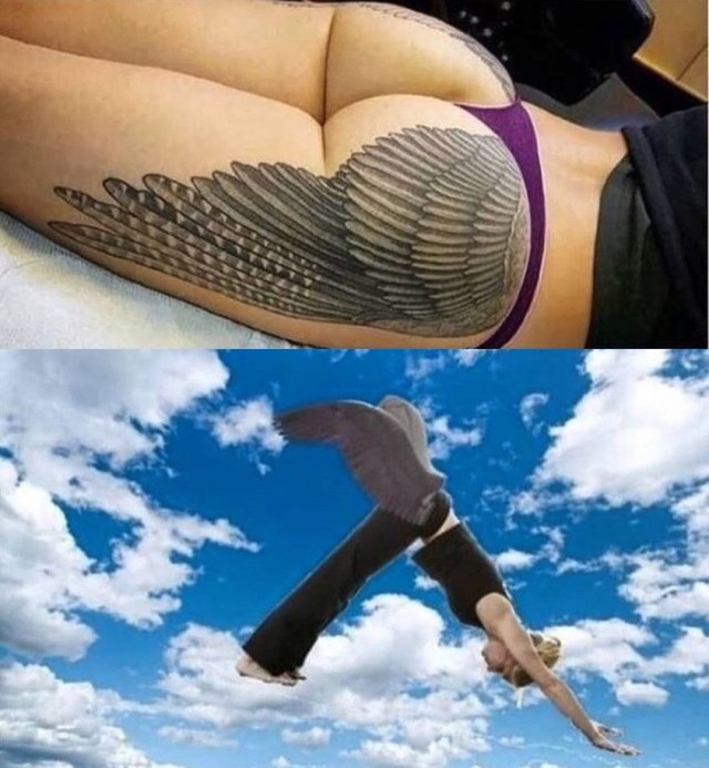 14523785.jpg