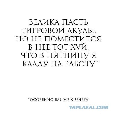 В тему пятницы! (08/08/08)