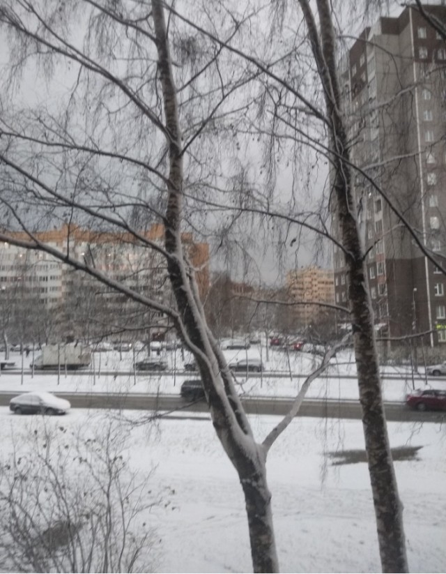 Я ваш ЯП топтал