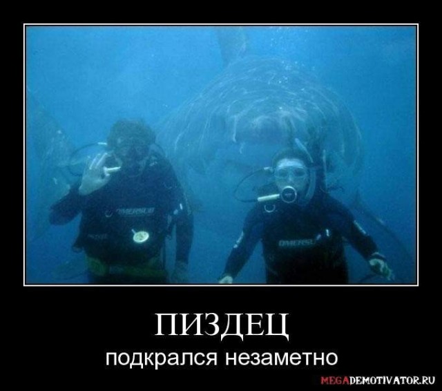 Незабываемая встреча