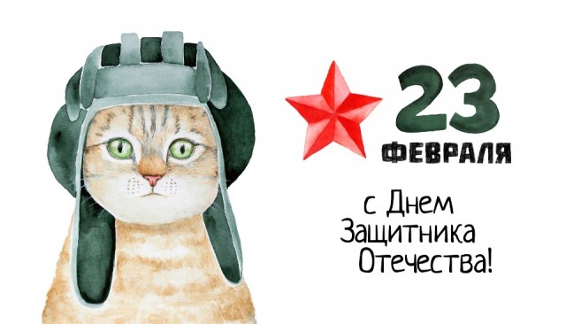 Жизнь домашнего приюта "Котоленд" 272