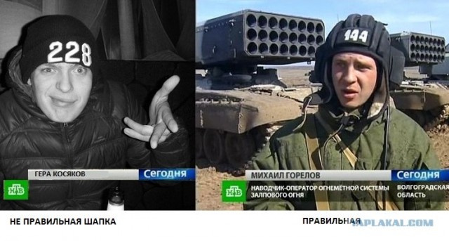 Шмели на солнцепеке