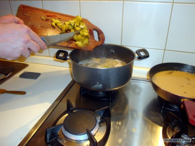 Пионерские почки