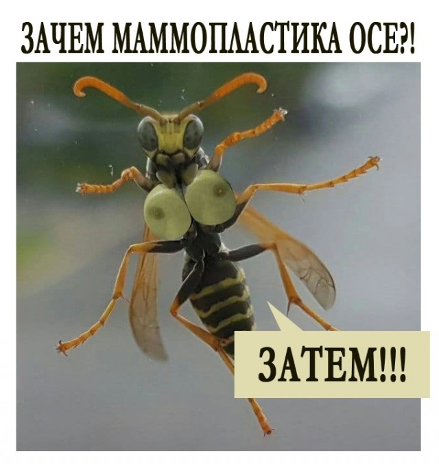 Картинки и мемы для настроения 04.08.2021