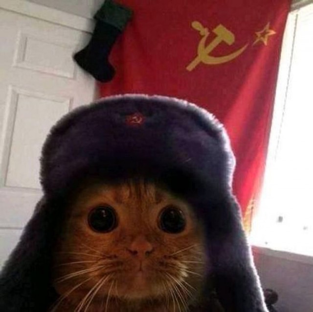 Пандемия. Коронавирус. Россия и мир. Последняя информация. Часть 23