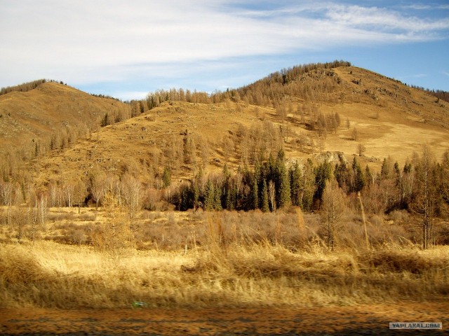 В ноябре на Алтае 2010г.