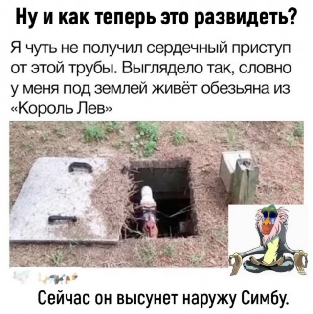 Так себе картинки 24.06.22