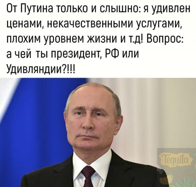 Путин удивился иностранному происхождению кормов для животных