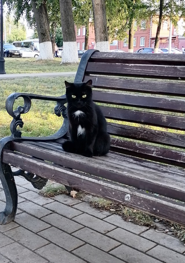 «Чё вам, бабам, надо?» Баба ответила...