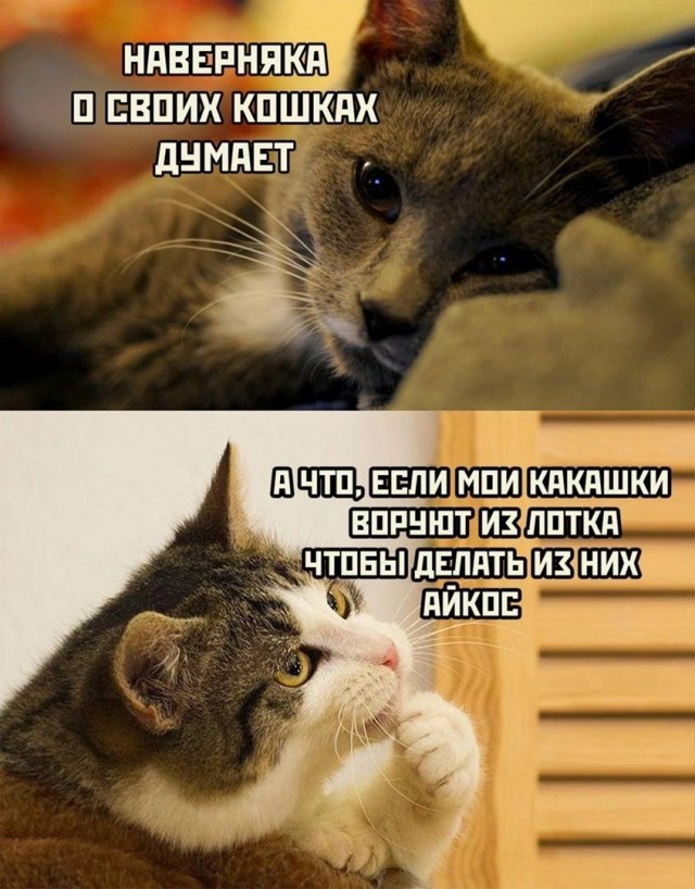 Немного мемчиков. Для взрослых 18+. Часть 13