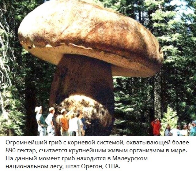Немного истории в фото от 09.09.2022