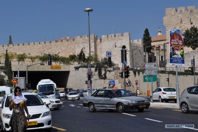 Как я ездил в Египет