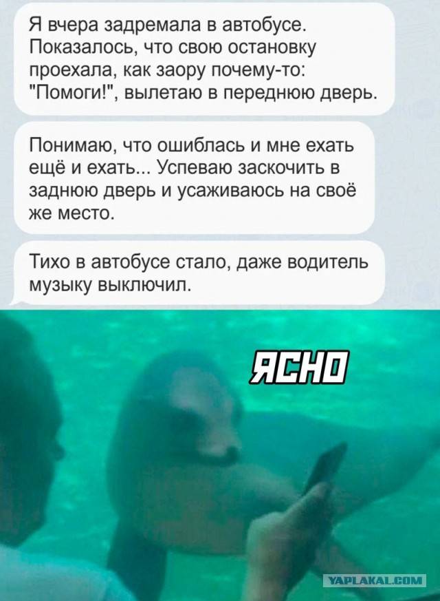 Это был тяжелый год