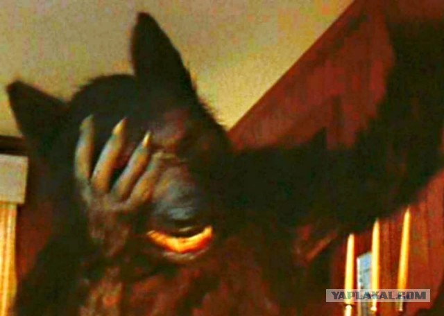 Конкурс Коротких Креативов №27